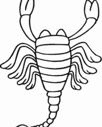 Ausmalbilder Von Skorpion Kostenlos Zum Ausdrucken